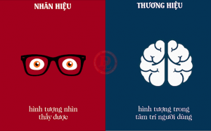 Phân biệt thương hiệu và nhãn hiệu - Phạm Gia Media